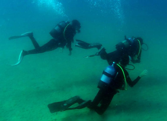 Divemaster | PADI