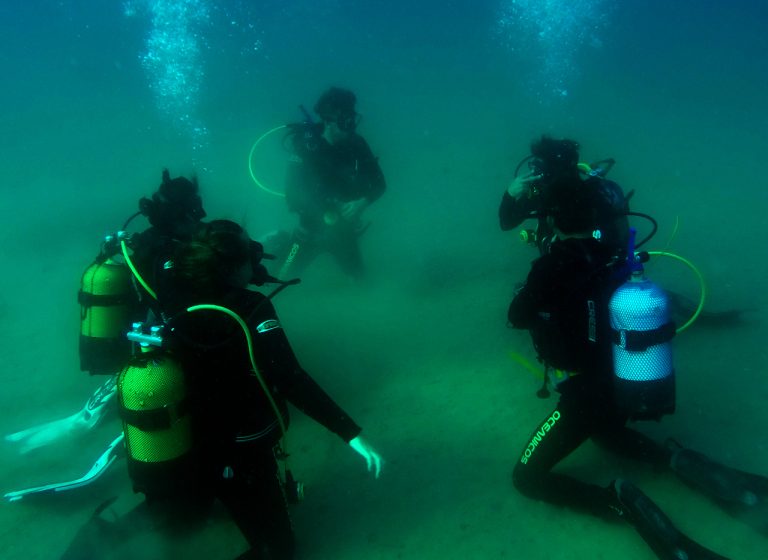 Open Water Diver | PADI